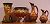 Tap To Enlarge - Zephyr Lily Vase 9 Inch - Zephyr Lily Hanging Basket 7 ½ Inch - Zephyr Lily Ewer Brown 10 Inch - Zephyr Lily Small Ewer 6 Inch